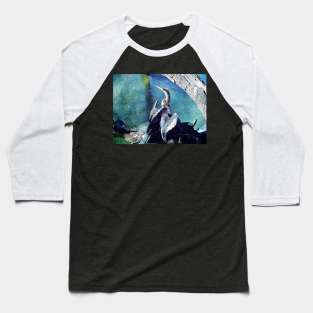 Colored Anhinga Baseball T-Shirt